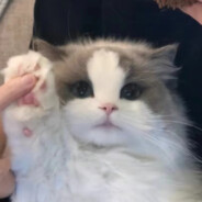 凡世尘俗皆苦海