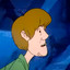 Shaggy