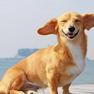 <Mr.Nur> - steam id 76561198048011879