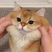 我来监督沙瑞金