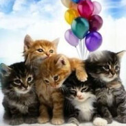 половые губы