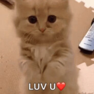 =NeKo=