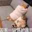活着就是为了樱岛麻衣