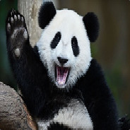 Panda_GDM