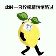 进行一个拉松的马