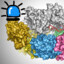 CRISPR-Cas1312