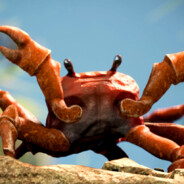Crab Senpai