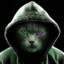 majorskycat