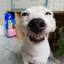 YOU&#039;RE SUCH A DAWG!