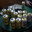 15 Empty Beers W/Smokes