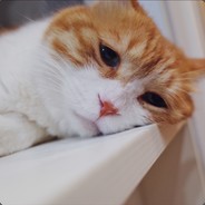 灭虫专家大螺丝