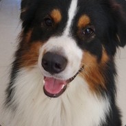 我有枪丶啪啪啪