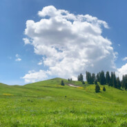 陀思妥耶夫斯基