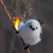 Bird Guy