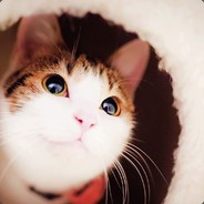 Light『月光』❥ 程程