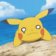 国家不保护废物