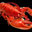Sex Lobster