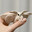 Moth LF> Flame(serious DMs only)