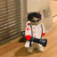 Gato Medic