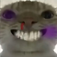 黑贞我永远不会忘记 永