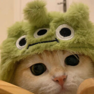 去码头整点薯条