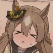 爱尔兰在逃傻狍子