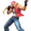 TerryBogard