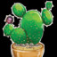 100Cactus