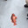 Freaky Fishy