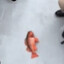 Freaky Fishy