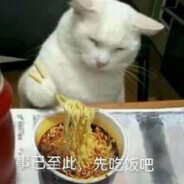 托马斯回旋的猫