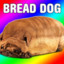 talsimon123 (bread dog)/namer :)