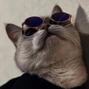 叶落枯荷听雨声