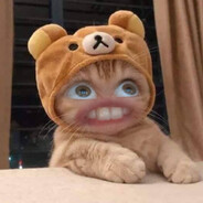 Flauschii avatar