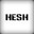 HesH
