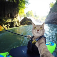 红衣少女哒咩哒咩