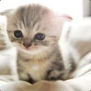 Avatar snapshot