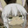 pro48's Avatar