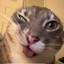 Avatar of player qweqr12