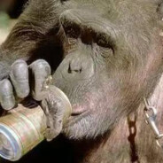 李京轩鼻祖-李渊