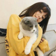 一心想做她的貓