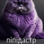 В ананас идите