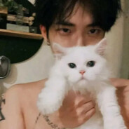 狗狗