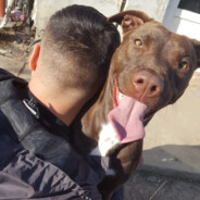 Jhn - steam id 76561198145195146