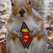 Super Nuts - steam id 76561197960398039