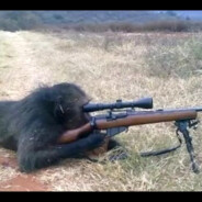 Sniper Monkey