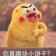 飞翔的突击手小饼干