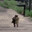 smaller columbo