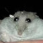 A Lobotomized Hamster