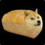 doggo